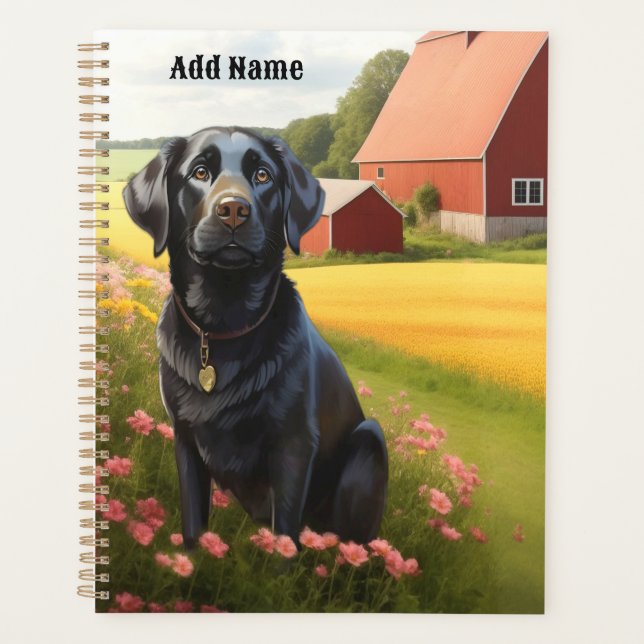 Labrador Retriever on Farm (Devant)