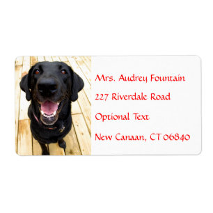 Labrador Retriever Personnalisé Name Étiquette d