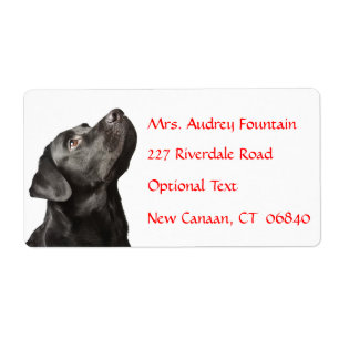 Labrador Retriever Personnalisé Name Étiquette d