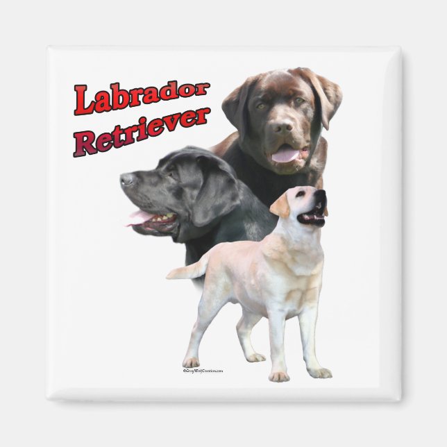 Labrador Retriever Trio 2 - Magnet (Devant)