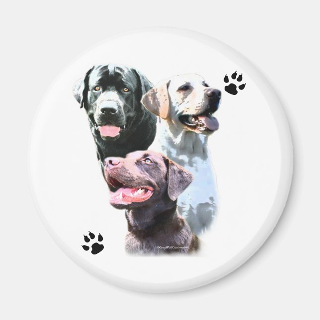 Labrador Retriever Trio - Magnet (Devant)