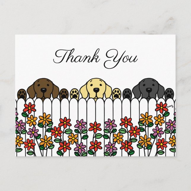 Labrador Trio Vous regarde Carte postale Merci (Devant)