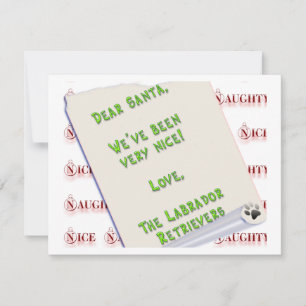 Labradors rien et gentil