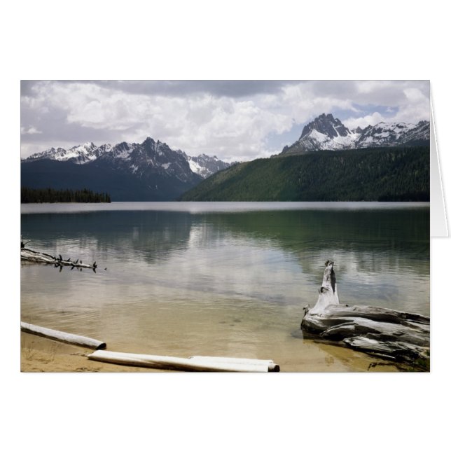 Lac aux poissons rouges (Devant horizontal)