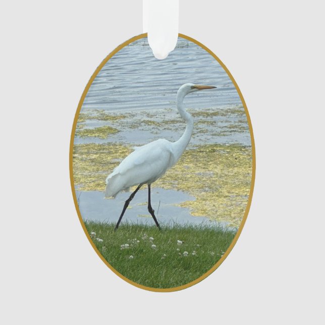Lac d'aigrette oiseau (devant)