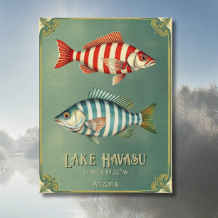 Lac Havasu Arizona poisson nautique Carte postale