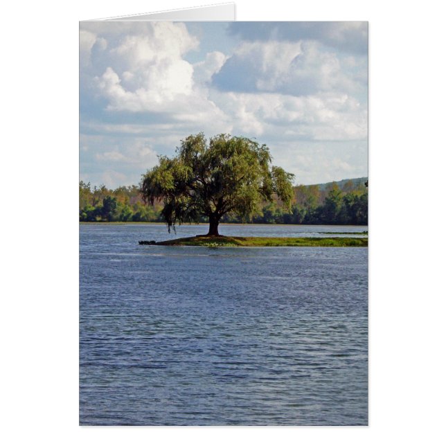 Lac Iron Mountain (Devant)