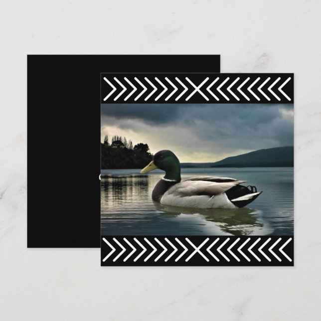 Lac Mallard Duck (Devant / Derrière)
