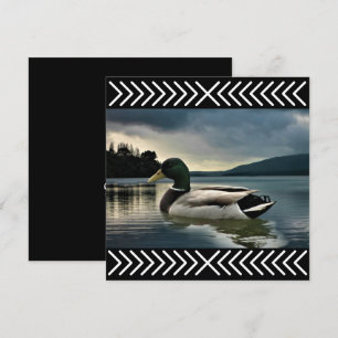 Lac Mallard Duck