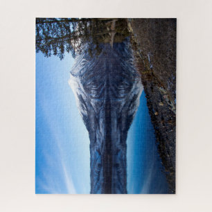 Lac mcDonald, puzzle 16x20 de parc national de