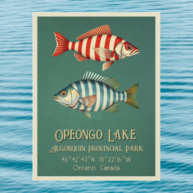 Lac Opeongo Ontario Canada carte postale de pêche (Créateur téléchargé)