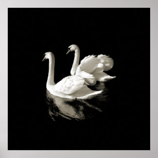 Lac Swan - affiche noire et blanche