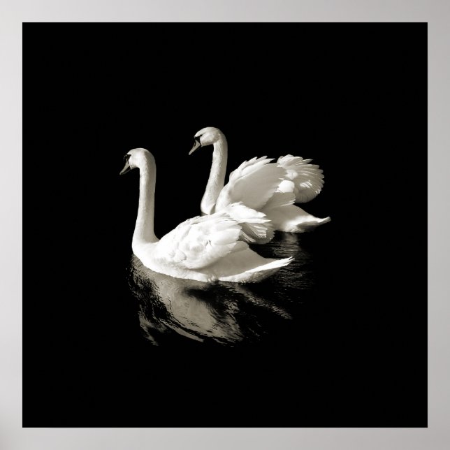 Lac Swan - affiche noire et blanche (Devant)