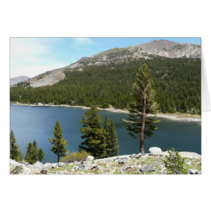 Lac Tenaya dans le parc national de Yosemite