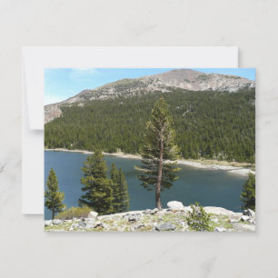 Lac Tenaya dans le parc national de Yosemite