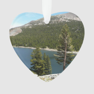 Lac Tenaya dans le parc national de Yosemite