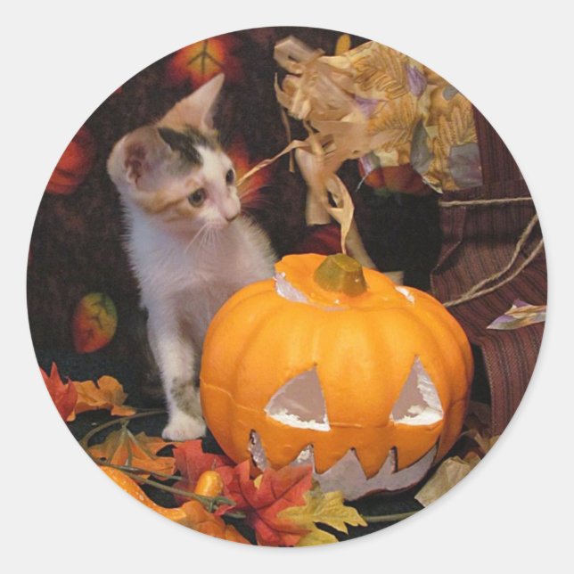 Lacey - Autocollants pour chat / chaton Halloween (Devant)