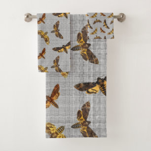 Lachèse d'Acherontia - La tête de la mort Hawkmoth