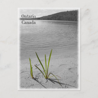 Lacs de l'Ontario, Canada Carte postale Noir et bl