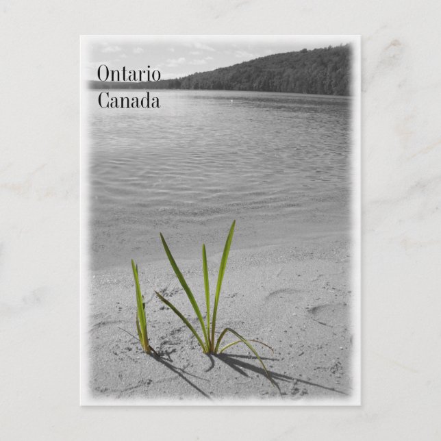 Lacs de l'Ontario, Canada Carte postale Noir et bl (Devant)