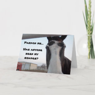 Lacs My Shades ? Carte de Birthday