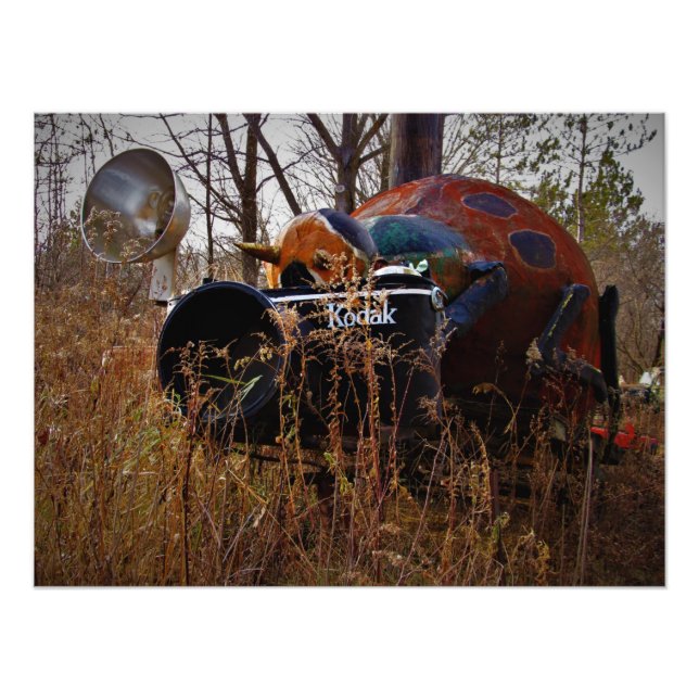 "Lady Behind the Camera" Photo Print (Devant)