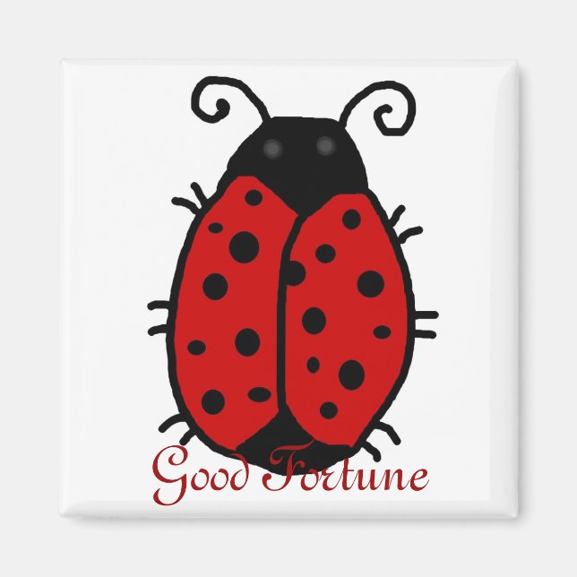 Lady Bug : Bonne Fortune, bon aimant Fortune (Devant)