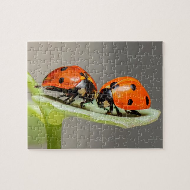Lady Bugs Jigsaw Puzzle (Horizontal)