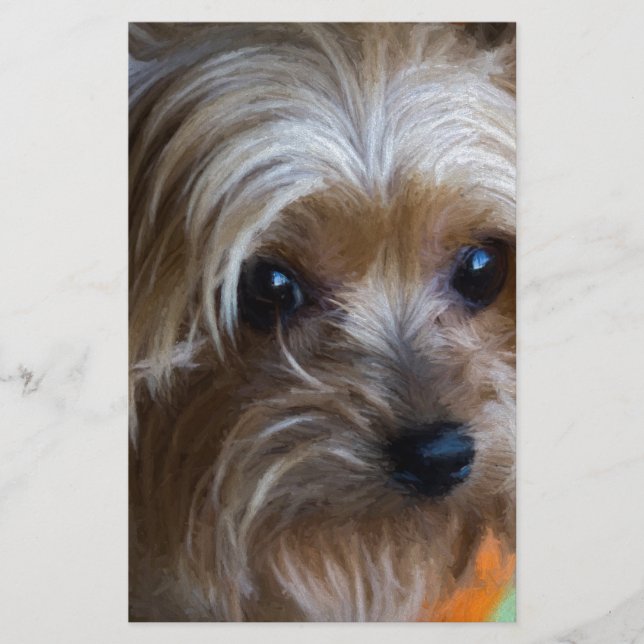 Lady Yorkshire Terrier (Devant)