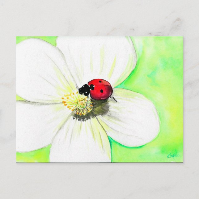 Ladybird sur une carte postale peinte en fleurs bl (Devant)