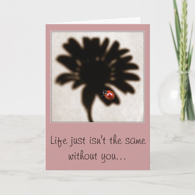 Ladybug, carte de vous manquante (Devant)