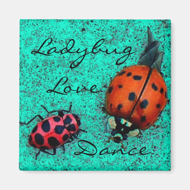 LADYBUG LOVE DANCE MAGNET (Devant)