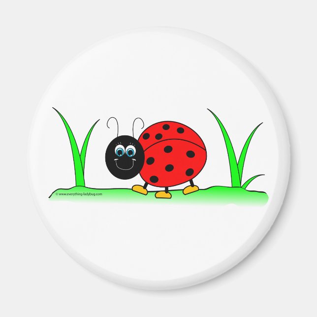 Ladybug Magnet (Devant)