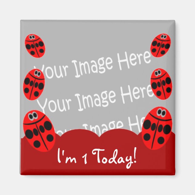 Ladybug premier anniversaire Photo Magnet Party Fa (Devant)