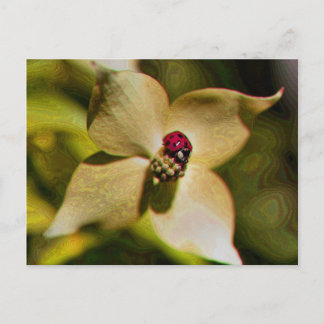 Ladybug Sur Carte Postale Photo Art numérique Fleu