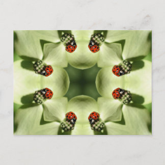 Ladybug Sur Flower Kaleidoscope Art Carte Postale
