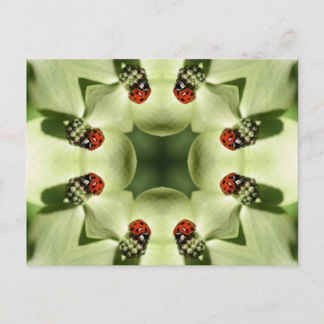 Ladybug Sur Flower Kaleidoscope Art Carte Postale (Devant)
