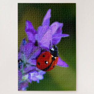 Ladybug sur lavande puzzle