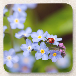 Ladybug sur le Dessous de verre Forget-me-not