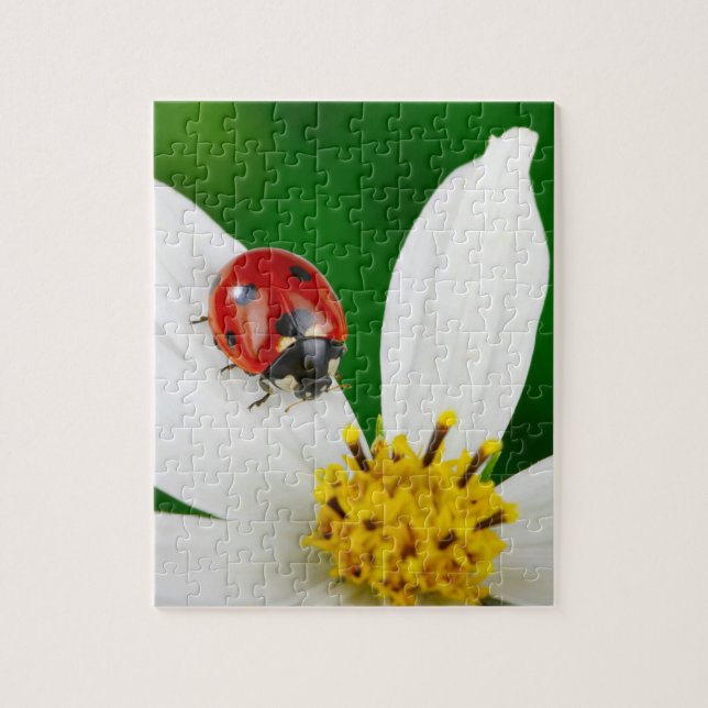 Ladybug sur le puzzle des fleurs (Vertical)