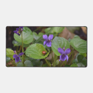 Ladybug sur les fleurs de violet doux
