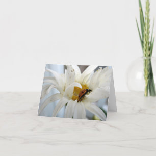 Ladybug sur une carte blanche de note Daisy