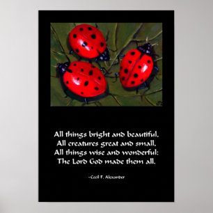 LADYBUG TOUTES LES CHOSES BRILLANTE POSTER