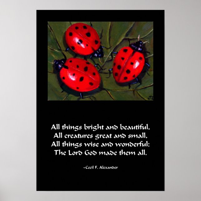 LADYBUG TOUTES LES CHOSES BRILLANTE POSTER (Devant)