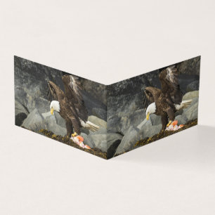 L'aigle chauve ultime