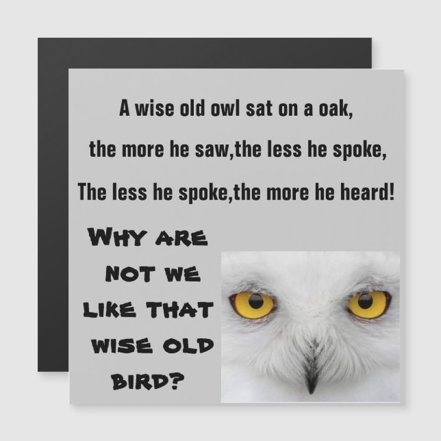 L'aimant WISE OLD OWL (Devant / Derrière)