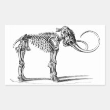 Laine Mammoth Squelette autocollants