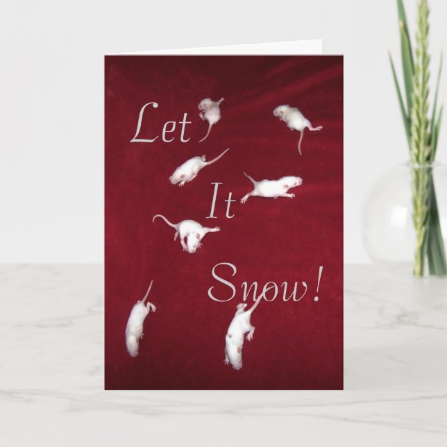 Laisser la carte à neige (Devant)