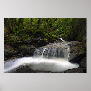 Laisser le flux 36 x 24 Poster