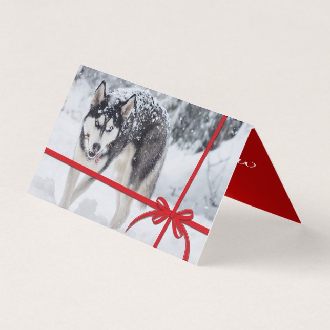 Laisser neiger (Front)